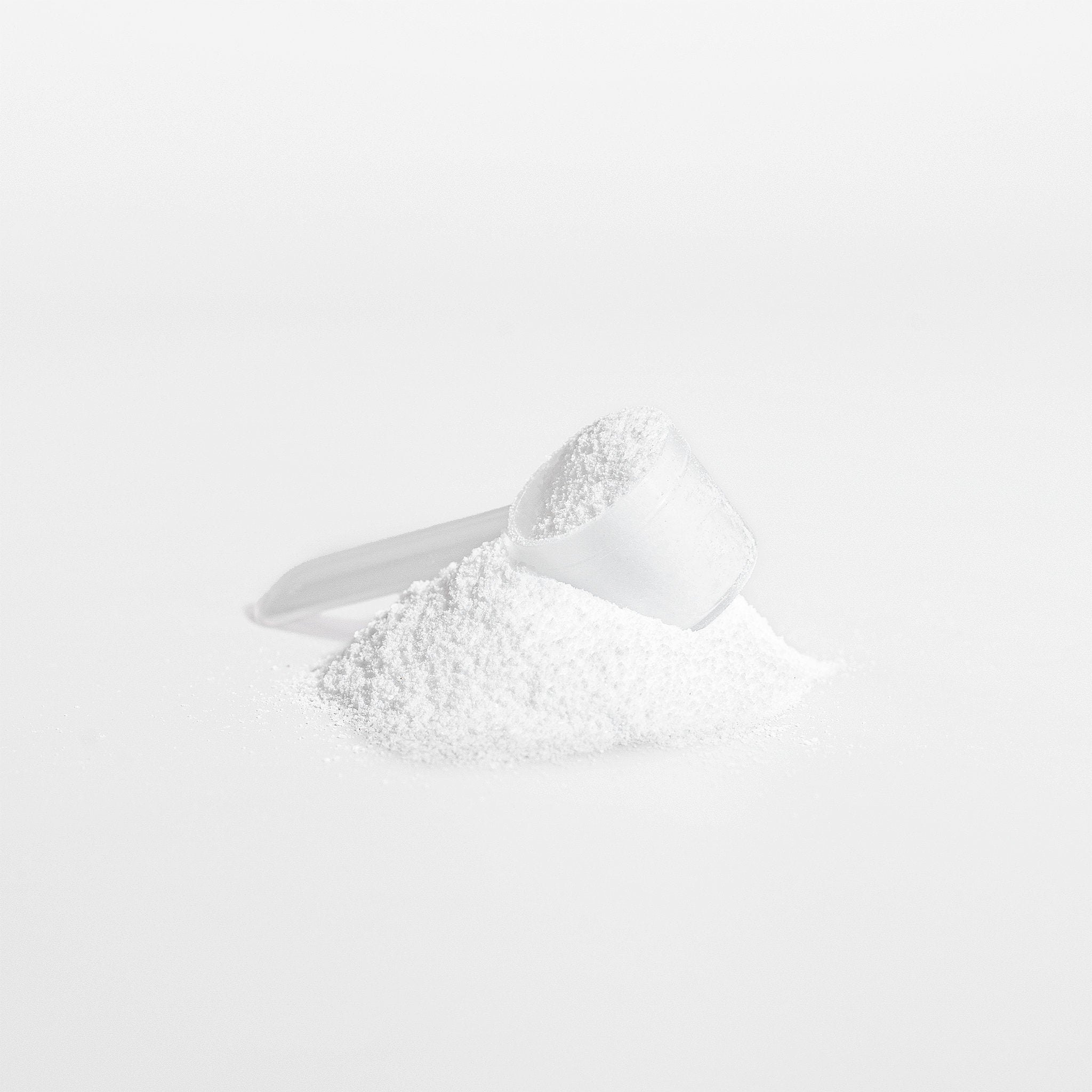 White Creatine Monohydrate powder in a measuring spoon on a white background