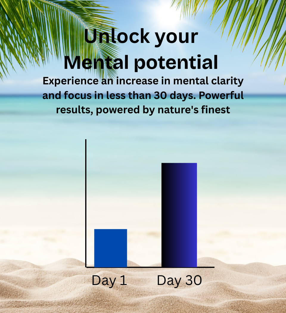 Bar graph showing increase in mental clarity and cognitive performance, enhancing the poweful results you get from Brainstorm Nootropics from Day 1 to Day 30 with beach and palm tree background